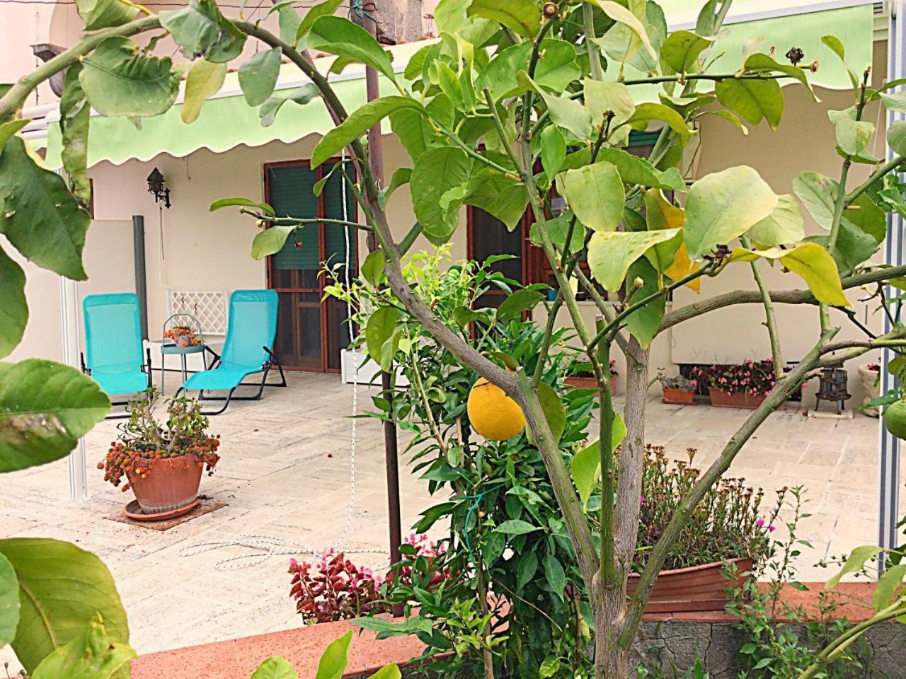 Oplontis' Garden - Holiday Apartment Near Pompeii Torre Annunziata Exterior photo